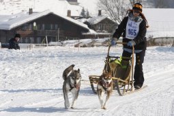 Lenk 2012 SM